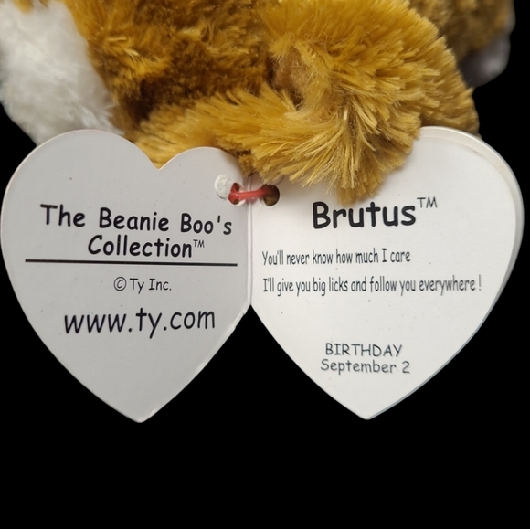2015 Ty THE BEANIE BOO'S COLLECTION "BRUTUS" THE PUP - Picture 9 of 11